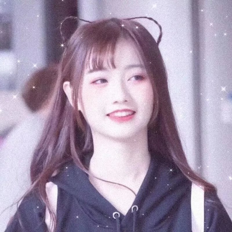 虚假的借口